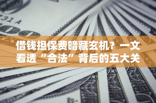 济南借钱担保费暗藏玄机？一文看透“合法”背后的五大关键陷阱